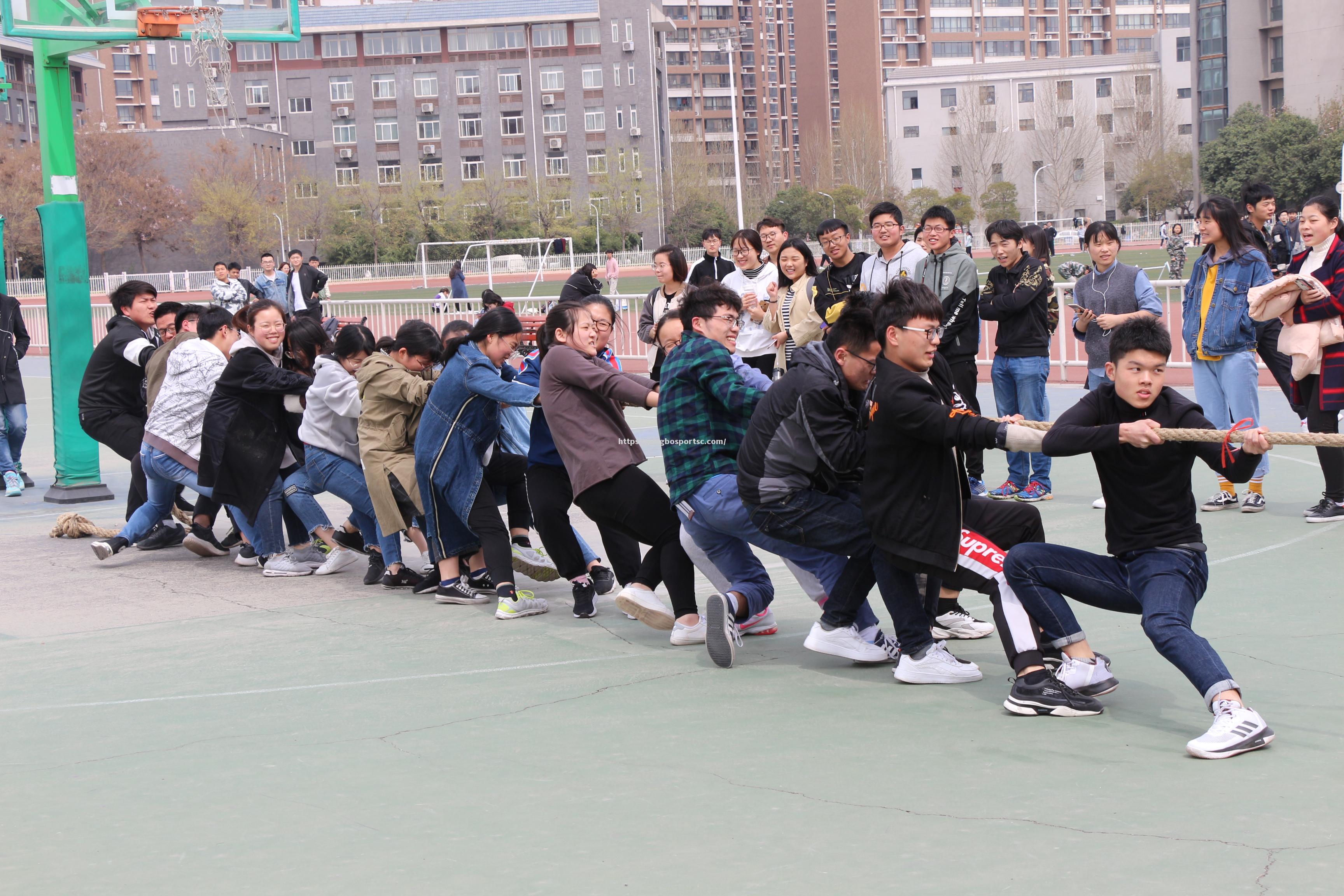 拔河大赛，各国选手坚韧拼搏展现风采